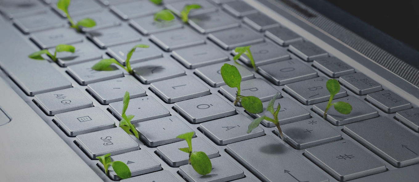 Sustenabilitatea în servicii