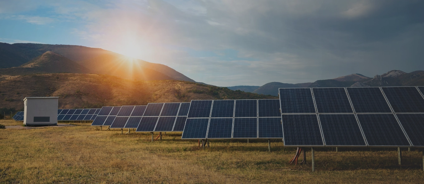 Sustenabilitatea în servicii